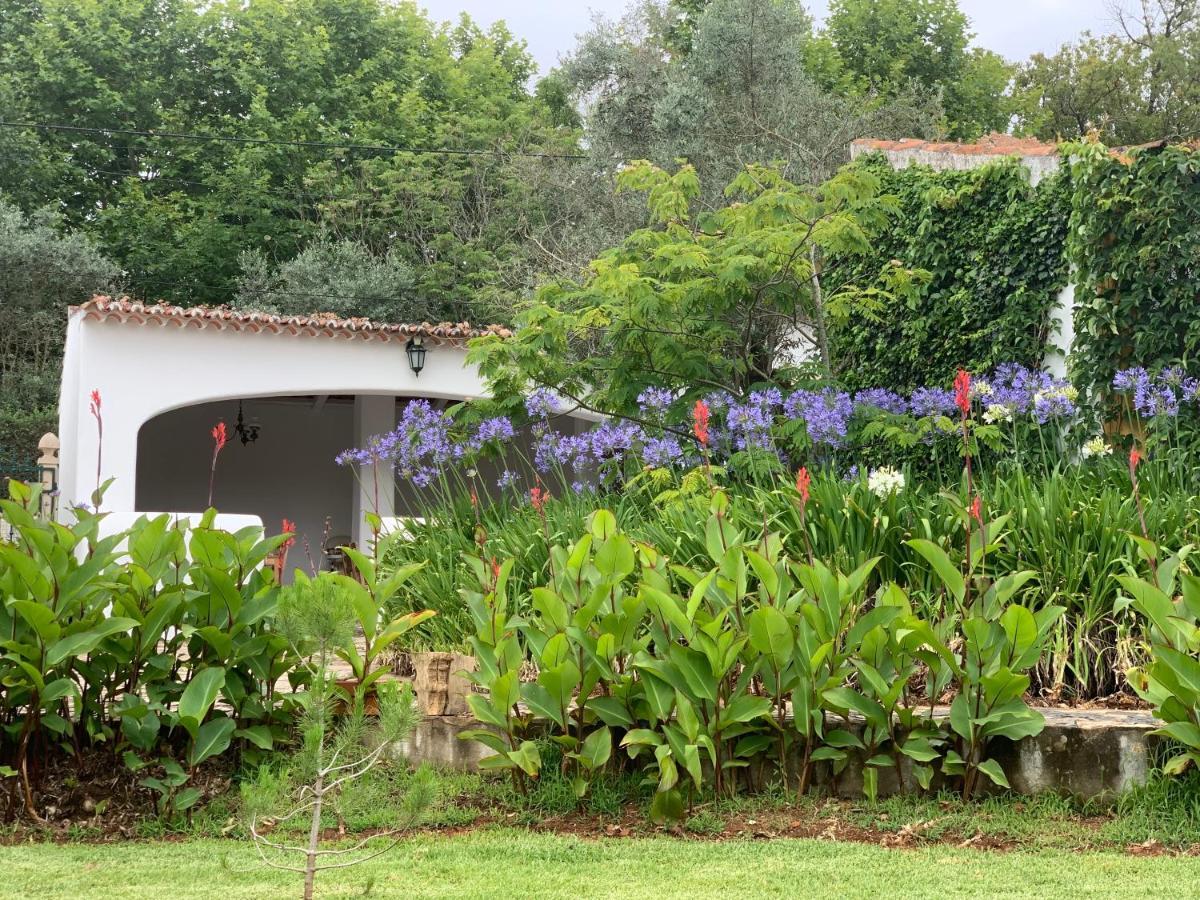 Quinta Dos Girassois Fz Apartment Ferreira do Zezere Luaran gambar